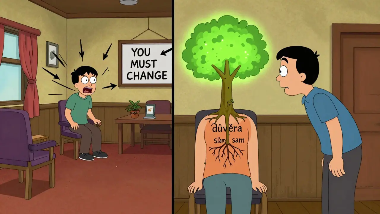 Srovnání klasické terapie s motivačním rozhovorem: chaos vs. klid a růst vnitřní motivace.